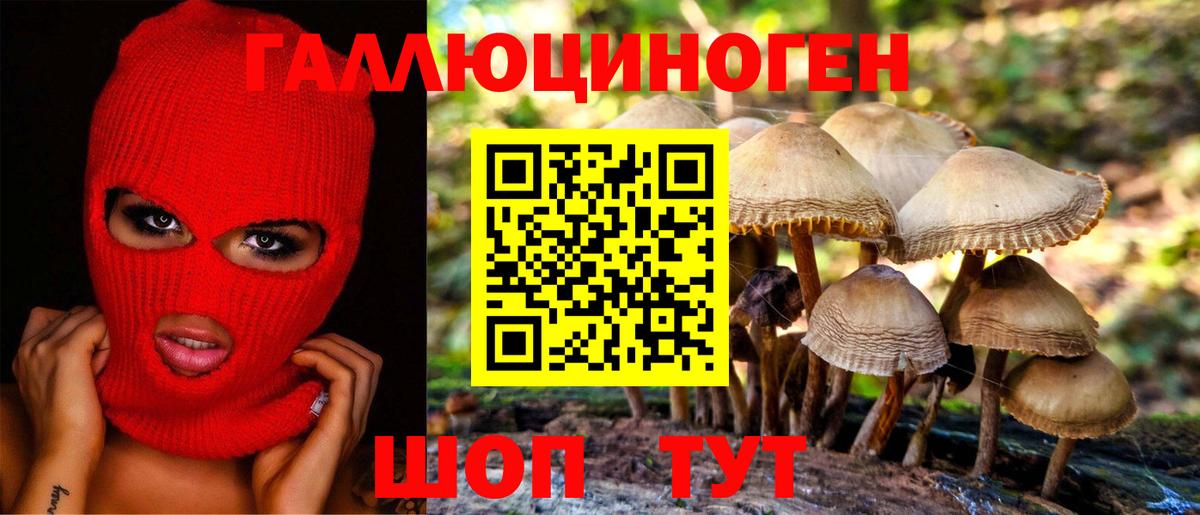 что такое наркотик  Вход с VPN  Галлюциногенные грибы MAGIC MUSHROOMS  Большой Камень  Галлюциногенные грибы ЛСД 